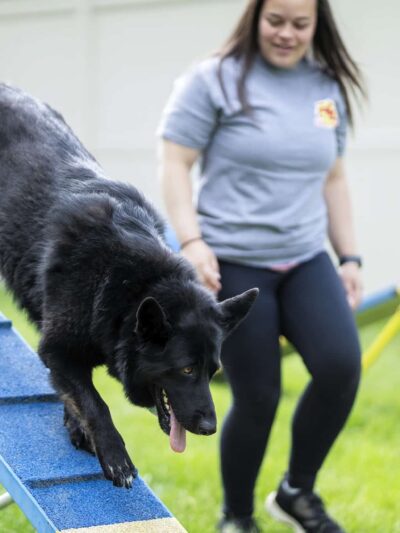 The Dog Stop - Upper St. Clair - Pittsburgh, PA