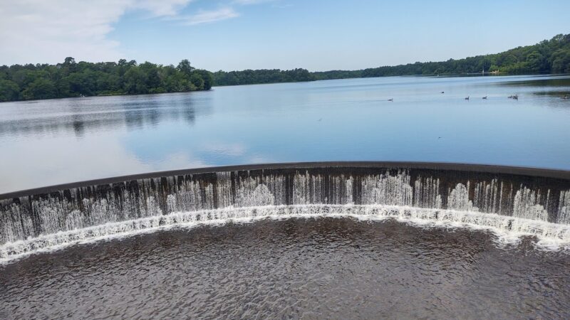 Parvin State Park - Pittsgrove, NJ