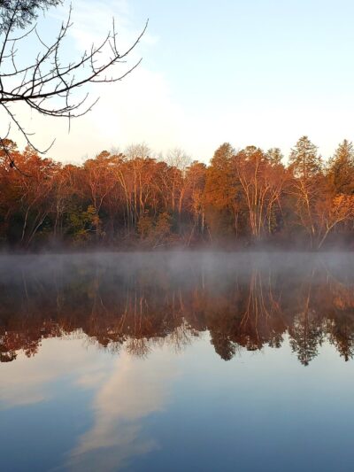 Parvin State Park - Pittsgrove, NJ