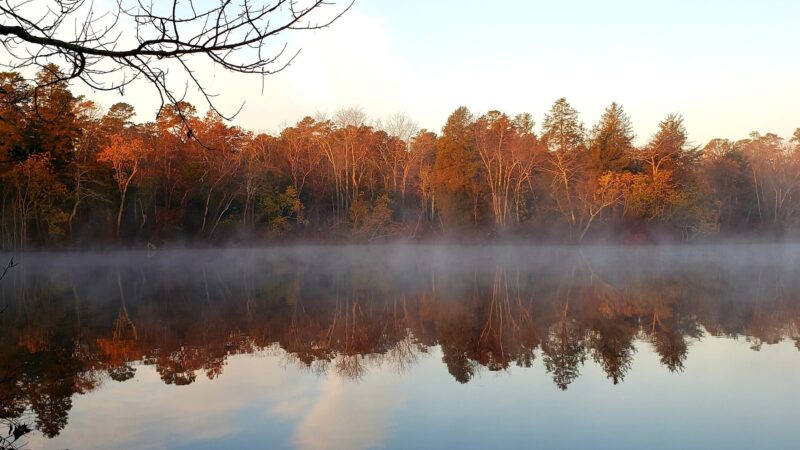 Parvin State Park - Pittsgrove, NJ