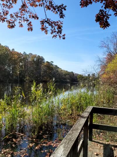 Parvin State Park - Pittsgrove, NJ