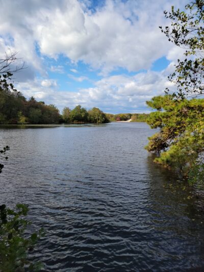 Parvin State Park - Pittsgrove, NJ