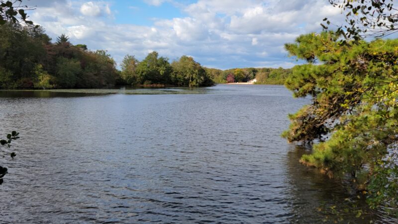 Parvin State Park - Pittsgrove, NJ