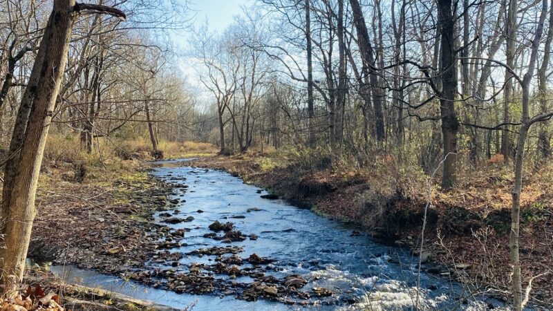 Capoolong Creek Trailhead Landsdown - Pittstown, NJ