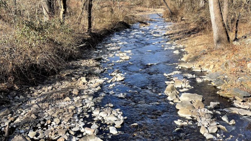 Capoolong Wildlife Management Area - Pittstown, NJ