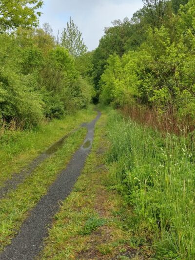 Capoolong Wildlife Management Area - Pittstown, NJ