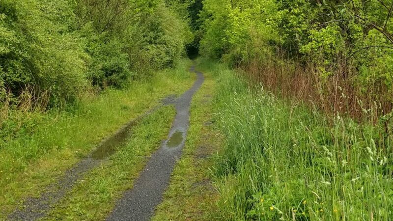 Capoolong Wildlife Management Area - Pittstown, NJ