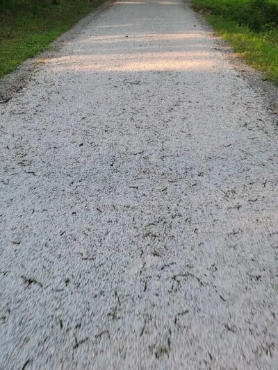 Capoolong Wildlife Management Area - Pittstown, NJ