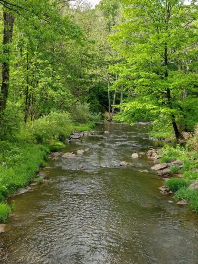 Capoolong Wildlife Management Area - Pittstown, NJ
