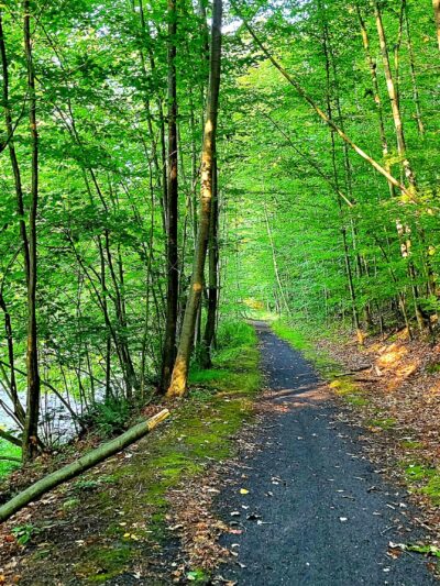Capoolong Wildlife Management Area - Pittstown, NJ