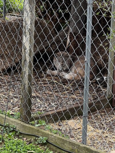 Woodlands Wildlife Refuge - Pittstown, NJ