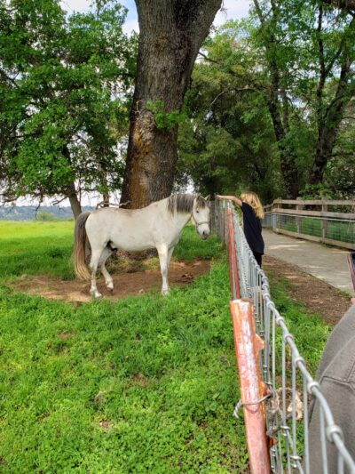 El Dorado Trail - Placerville, CA