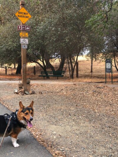 El Dorado Trail - Placerville, CA