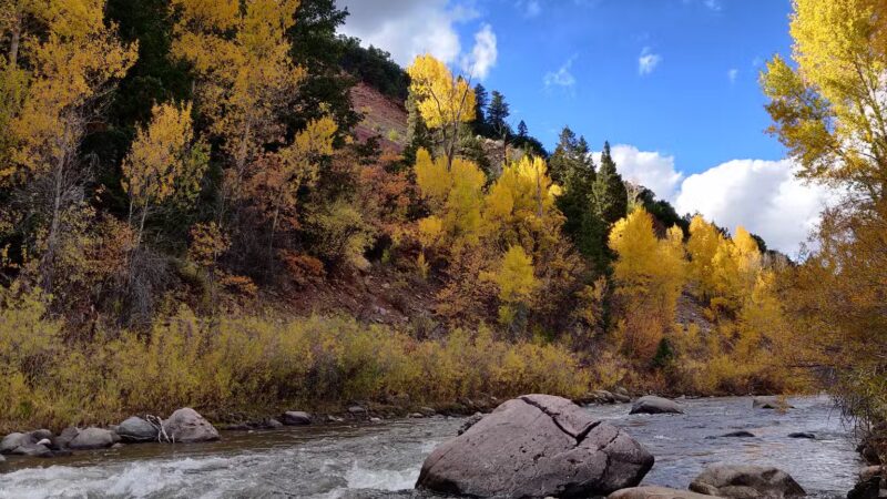 Placerville Park - Placerville, CO