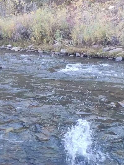 Placerville Park - Placerville, CO