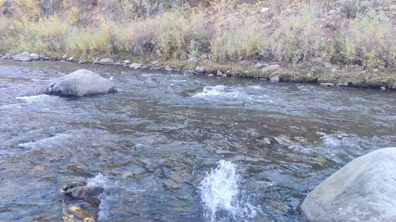 Placerville Park - Placerville, CO