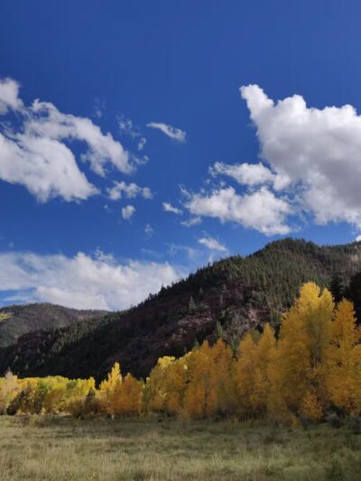 Placerville Park - Placerville, CO