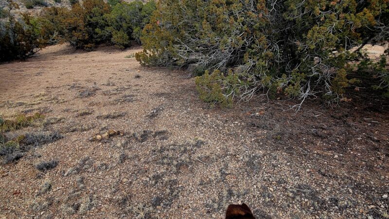 Strip Mine Trailhead - Placitas, NM