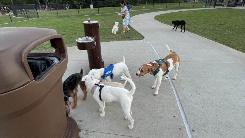 Dog Park at Windhaven Meadows Park - Plano, TX