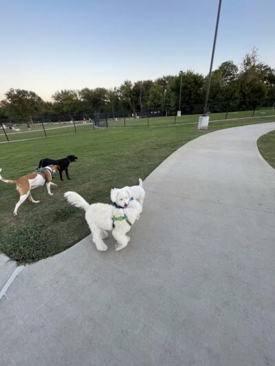 Dog Park at Windhaven Meadows Park - Plano, TX