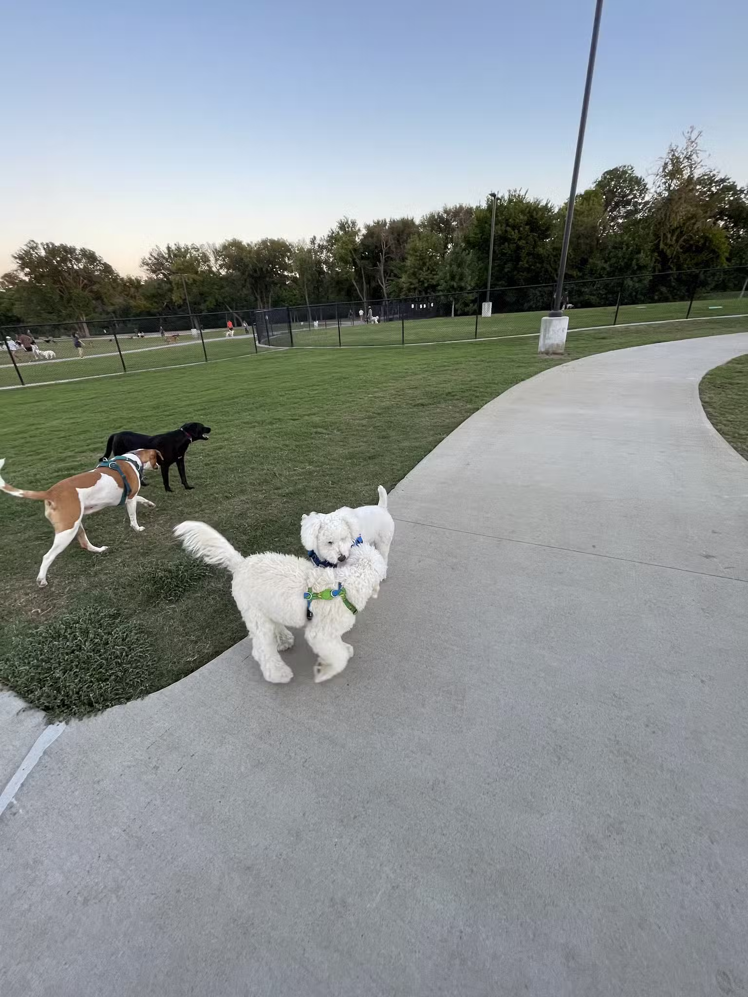 Dog Park at Windhaven Meadows Park - Plano, TX