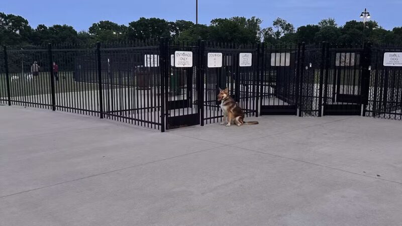 Dog Park | Bob Woodruff - Plano, TX