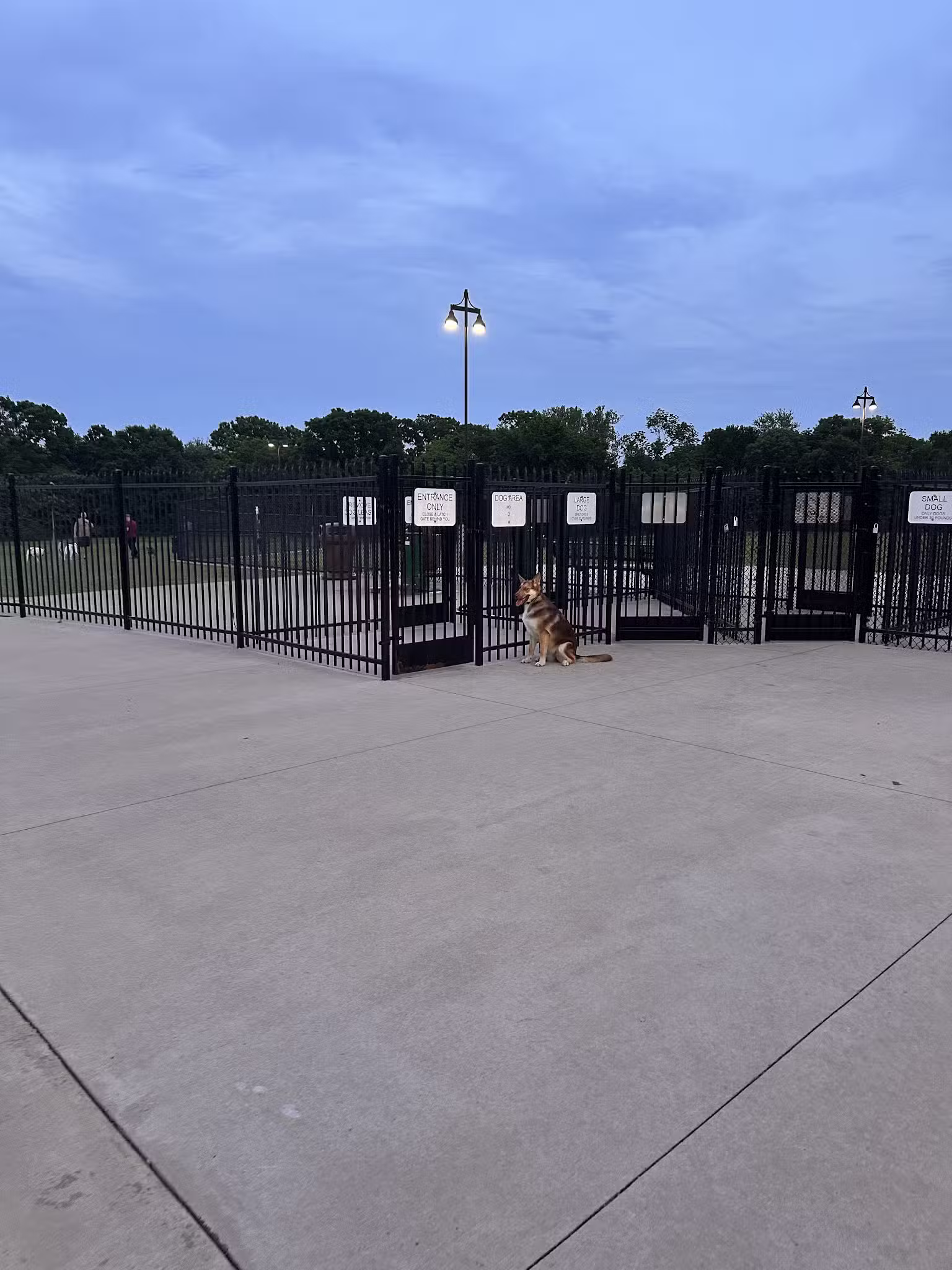 Dog Park | Bob Woodruff - Plano, TX
