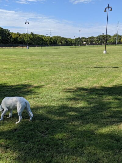 Dog Park | Bob Woodruff - Plano, TX