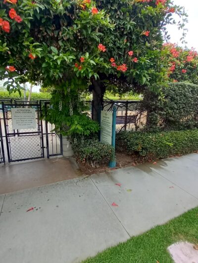 Longwood Dog Park - Playa Vista, CA