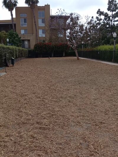 Longwood Dog Park - Playa Vista, CA