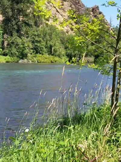Jasper State Recreation Site - Pleasant Hill, OR