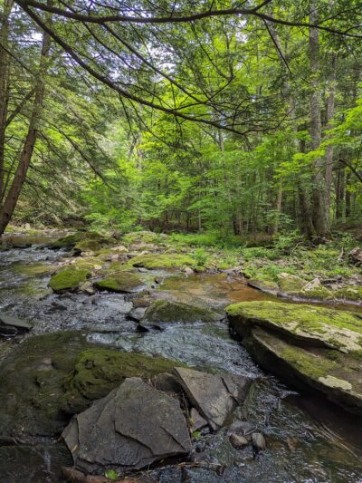 State Game Lands Number 159 - Pleasant Mount, PA