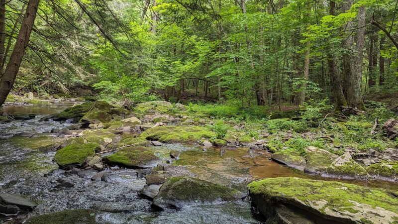 State Game Lands Number 159 - Pleasant Mount, PA