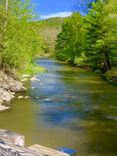 State Game Lands Number 159 - Pleasant Mount, PA