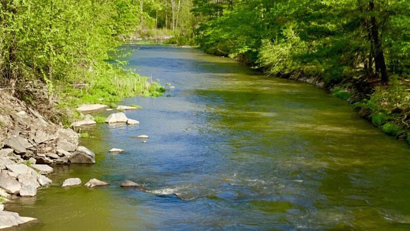 State Game Lands Number 159 - Pleasant Mount, PA