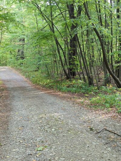 Taconic Hereford Multiple Use Area - Pleasant Valley, NY