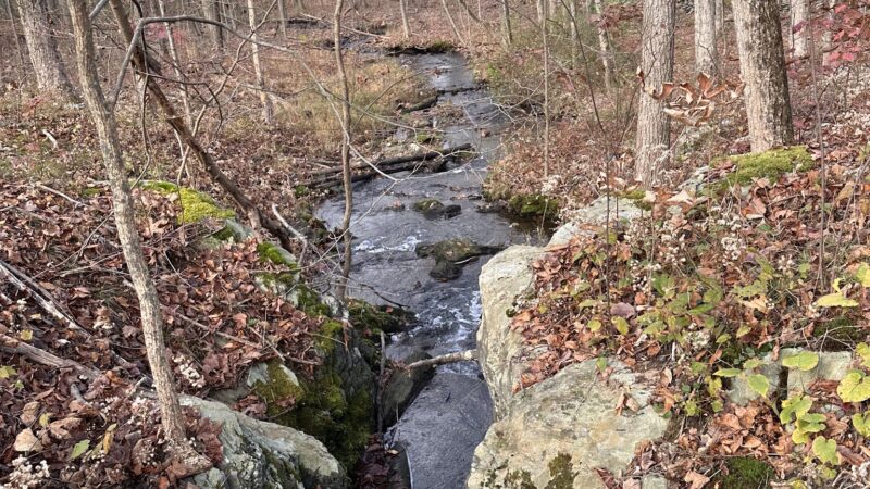 Taconic Hereford Multiple Use Area - Pleasant Valley, NY