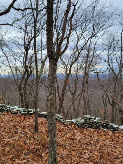 Taconic Hereford Multiple Use Area - Pleasant Valley, NY