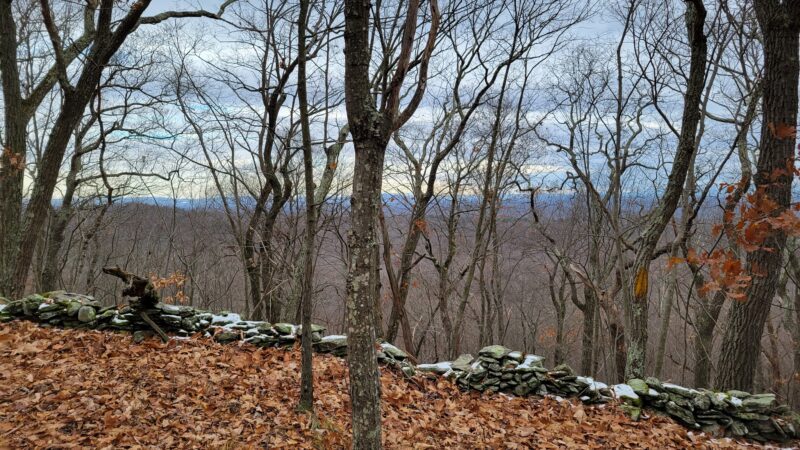 Taconic Hereford Multiple Use Area - Pleasant Valley, NY