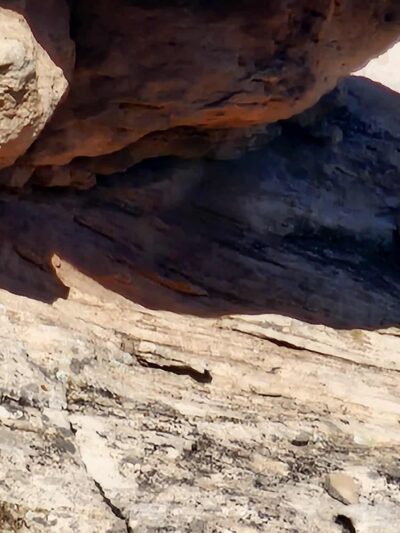 Canyon of the Ancients National Monument -Painted Hand Trail - Pleasant View, CO