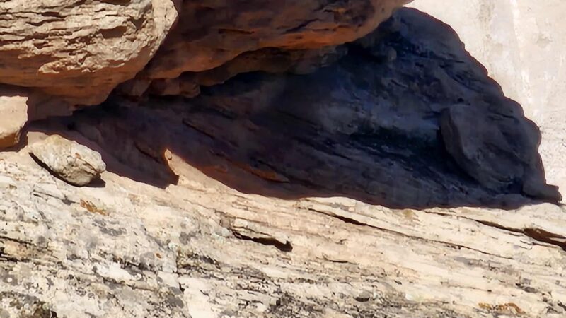 Canyon of the Ancients National Monument -Painted Hand Trail - Pleasant View, CO