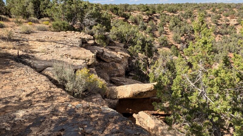 Canyon of the Ancients National Monument -Painted Hand Trail - Pleasant View, CO