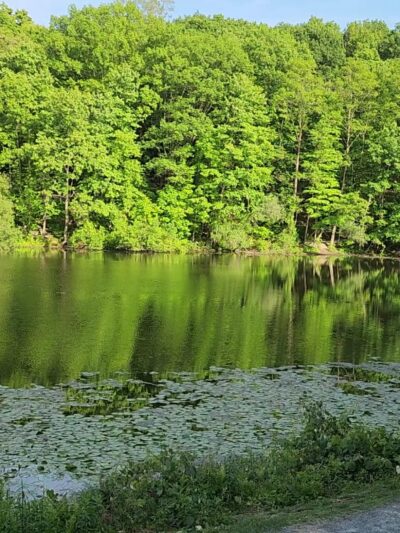Rockefeller State Park Preserve - Pleasantville, NY