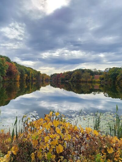 Rockefeller State Park Preserve - Pleasantville, NY