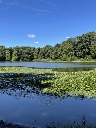 Rockefeller State Park Preserve - Pleasantville, NY