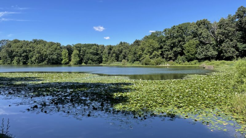 Rockefeller State Park Preserve - Pleasantville, NY