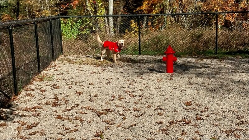 Deer Pond Dog Park - Plymouth, MA
