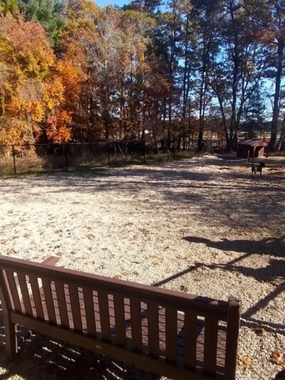 Deer Pond Dog Park - Plymouth, MA