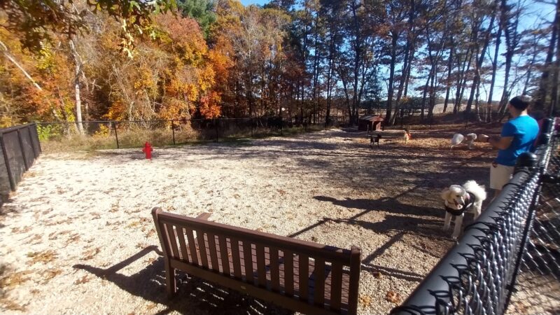 Deer Pond Dog Park - Plymouth, MA
