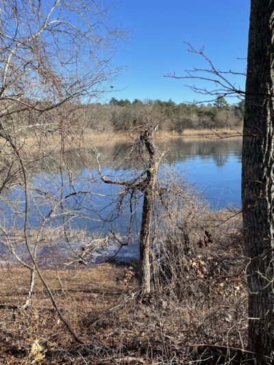 Little Island Pond - Plymouth, MA